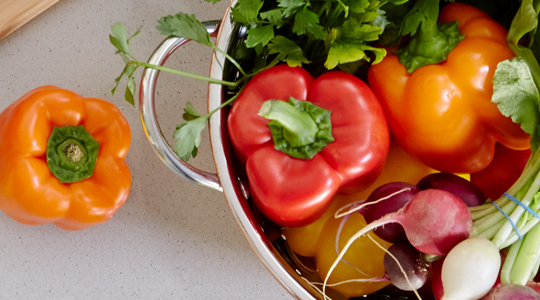 diet_basics_topimage_540x300