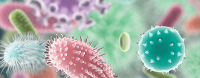 flu virus 2016 and what you need to know this years flu shot