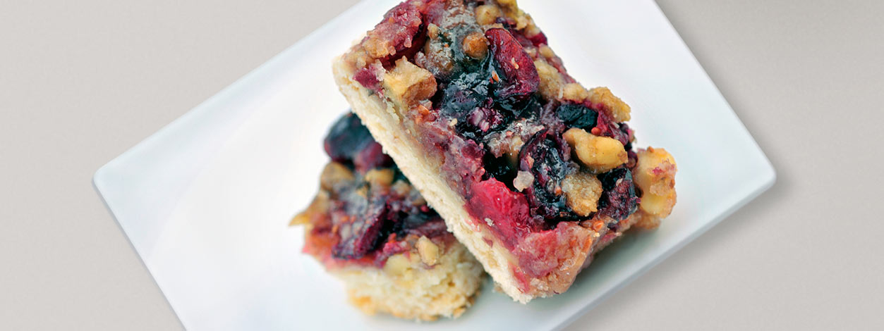 Dried fruit bars wide enlarged