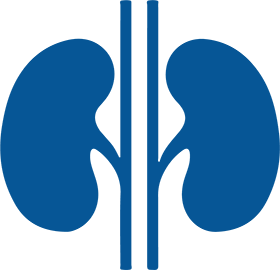 kidney_main_icon